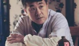 情满四合院电视剧,岁月流转中的邻里情深